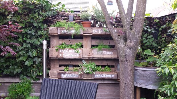 Setting up a herb garden using pallets