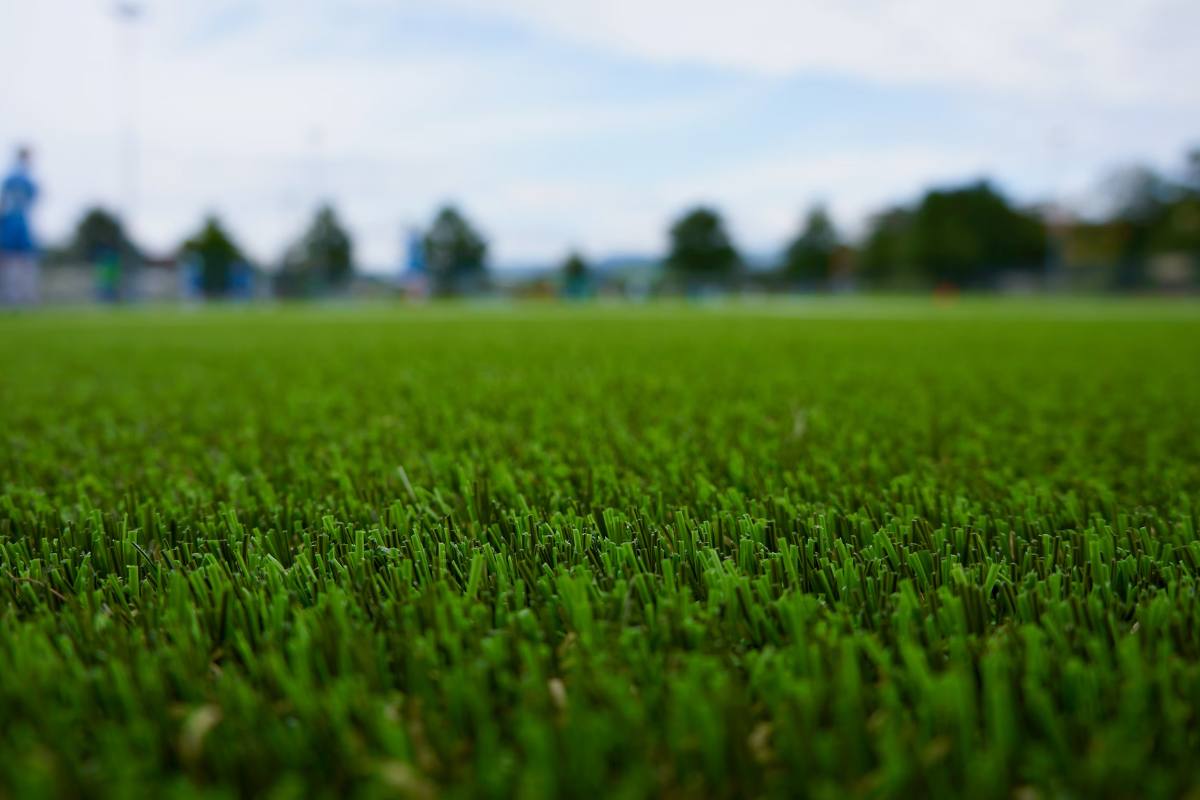 Essential Tips for Maintaining a Healthy Turf