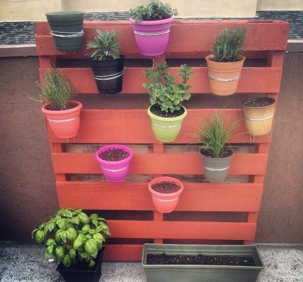 header-1-612x570-2953785