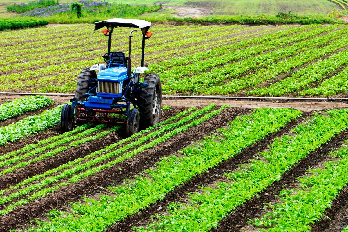 agriculture-machinery